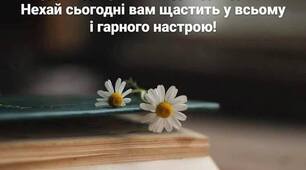 Цитата дня
