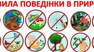 Лісовий етикет