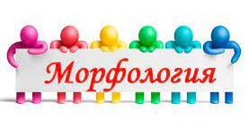 Тест за розділом "Морфологія"