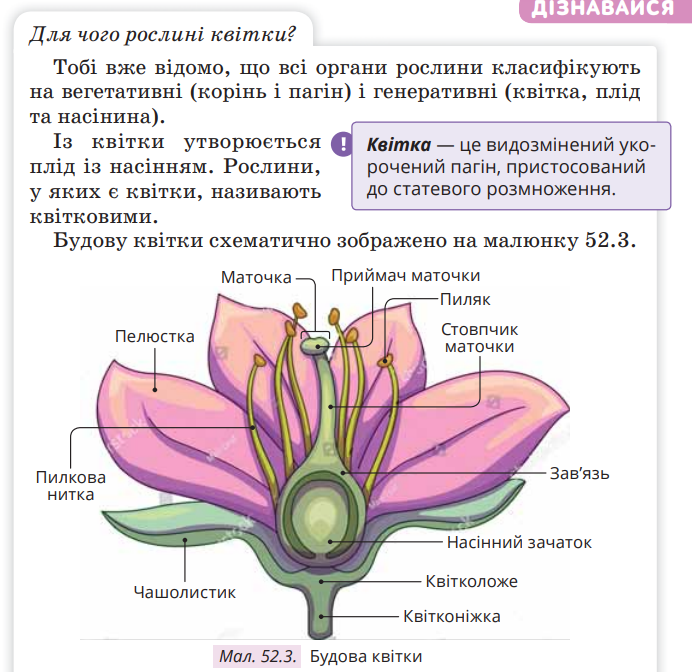 0402ul6o-0416-692x672.png