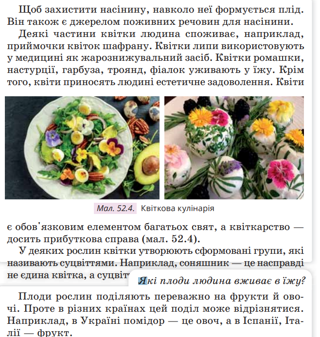 0402ul75-6ecc-658x693.png