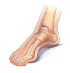 0402um7p-d115-142x148.png