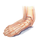 0402um7w-9efa-148x141.png