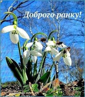 0402uptz-2674-275x311.jpg