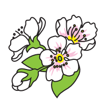 0402us9r-f114-204x205.png
