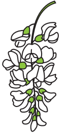 0402us9u-cbaf-136x261.png