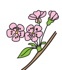 0402usa0-a987-207x234.png