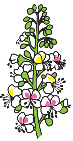 0402usax-f3c9-148x286.png