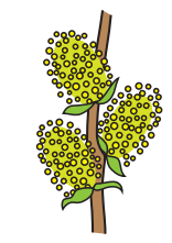 0402usbg-aed9-156x221.png