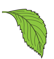 0402usc1-89ca-207x227.png