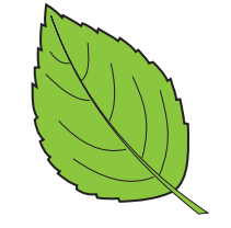 0402usca-2add-211x208.png