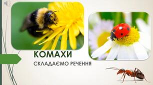 Презентація   для заняття  з розвитку мовлення " Комахи. Складаємо речення".