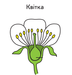 0402usdv-6f81-286x296.png
