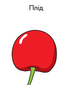 0402use7-388d-254x300.png