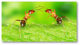 0402ust3-d21e-271x152.png