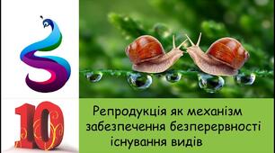 Репродукція як механізм забезпечення безперервності існування  видів (10 клас)