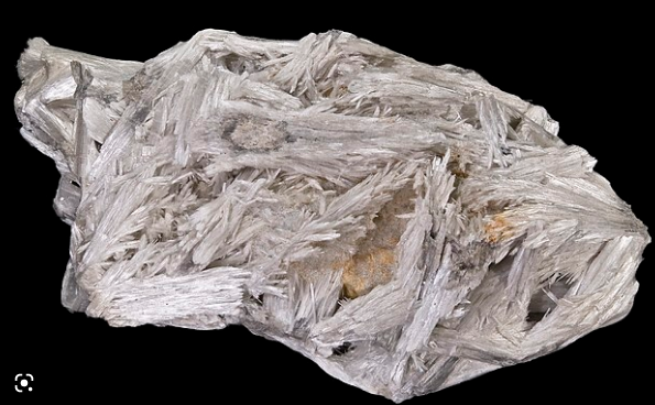0402uvas-5135-595x368.png