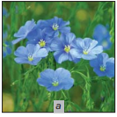 0402uve5-eb95-133x133.png