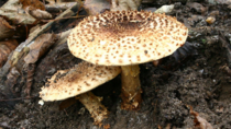 0402ux01-e073-210x118.png