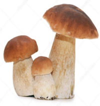 0402ux5q-b8ca-200x213.png
