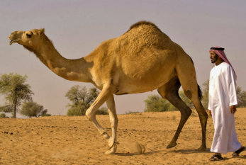 0402v14e-f1ee-347x233.png