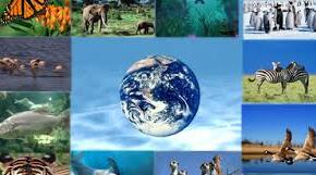 Protéger la nature