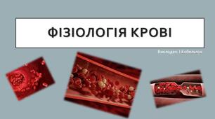 Презентація до лекції "Фізіологія крові"