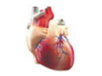 0402v5ef-9da3-148x111.png