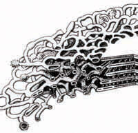 0402v6bt-dd2b-200x193.jpg