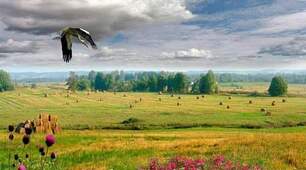 У рідному краю