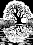 0402v8q6-55ae-107x147.png