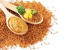 Photo mustard seeds with mustard flower isolated on white