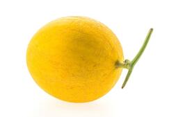 Free photo yellow cantaloupe isolated