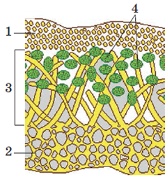 0402vb3m-06dc-237x253.png