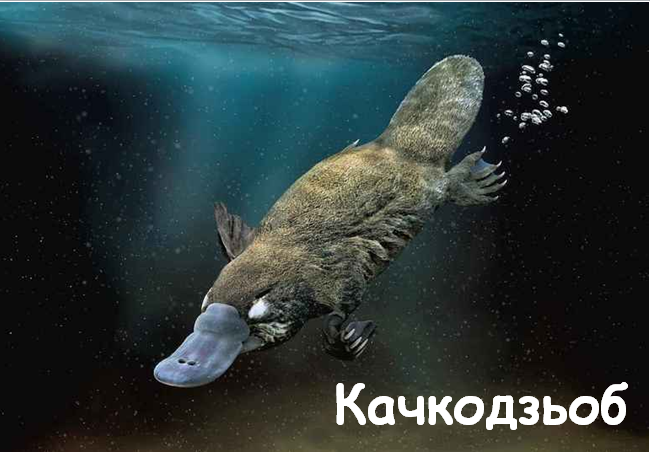 0402vc6q-938d-650x454.png