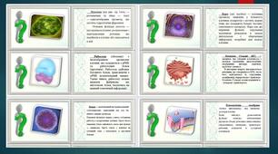 Флеш-картки по біології "Будова клітини".