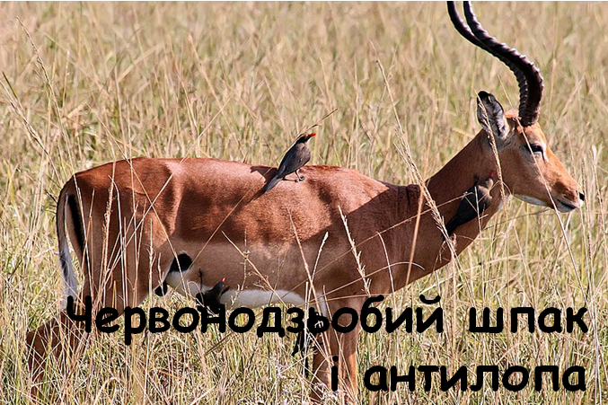 0402vccj-f296-677x451.png