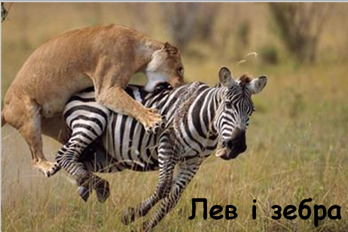 0402vcee-fb2a-681x454.png