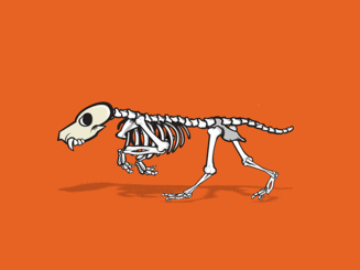 0402vd55-4927-327x245.gif