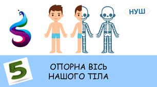 Презентація на тему: ОПОРНА ВІСЬ НАШОГО ТІЛА