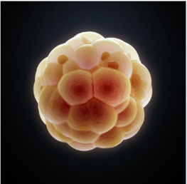 0402vhjd-f879-263x258.png