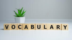 Vocabulary (FB 4 Module 3)