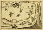 0402vku6-18f5-146x103.jpg