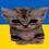 Василенко Глєб Ігор