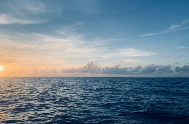 0402vm7d-c768-652x428.png