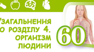 Контрольна роботи з теми: Таємниці організму людини.