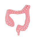 0402vmbq-a328-125x132.png