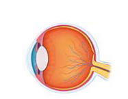 0402vmcd-fdbd-187x145.png