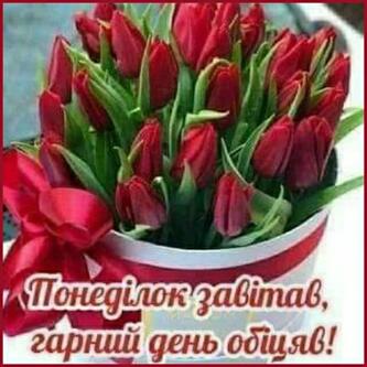 0402vmz2-f058-333x333.jpg