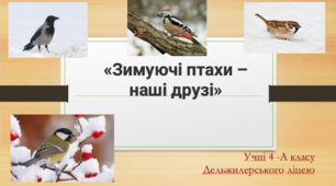 "Зимуючі птахи наші друзі" (презентація)